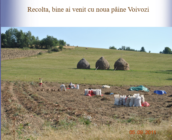 Cine suntem noi